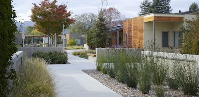 Sweetwater Spectrum in Sonoma, California uses plant material to provide year-round interest and drought-tolerance. Photo: Marion Brenner