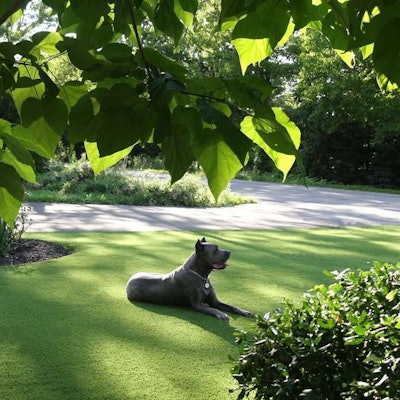 The company expects homeowners all over the country, not just in drought-prone states, to consider using artificial turf in the years ahead. Photo: Turfscape