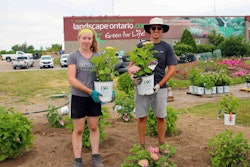 Along with a wide collection of rose cultivars, this year’s trial gardens will feature a multi-year hydrangea trial. Photo: Landscape Ontario