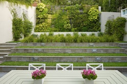 living-wall-matarozzi-pelsinger-builders