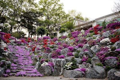 Terraced gardens are a common response to sloped landscapes. Photo: Kwangho Kim/Flickr