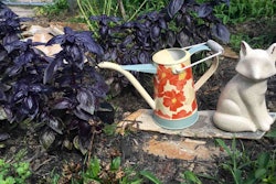 Todd Fox Gardens specializes in edible landscaping and native plants. Photo: Todd Fox Gardens