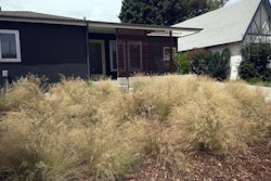 xeriscaping-burbank-ca-Cory-Doctorow-1024×768