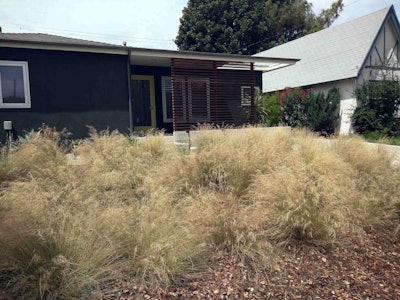 This xeriscaped lawn in Burbank, California, simply replaced its yard with drought-tolerant ornamental grasses. Photo: Cory Doctorow/Flickr
