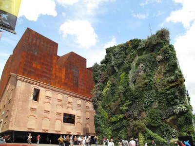 One of Patrick Blanc’s vertical gardens can be seen at CaixaForum Madrid, a museum in Spain. Photo: Cecilia/Flickr
