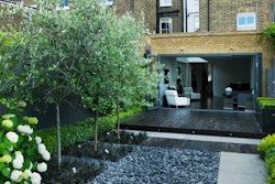 black-features-in-landscape