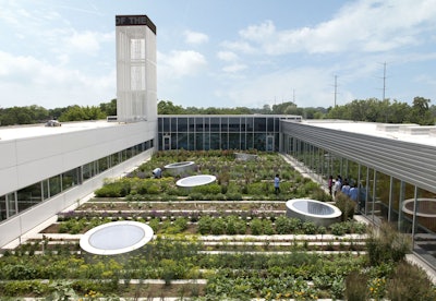 The Gary Comer Youth Center Roof Garden in Chicago not only helps cool the nearby area but also produces over 1,000 pounds of vegetables. Photo: Scott Shigley