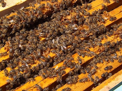 Beekeepers were not alerted to the aerial spraying beforehand, which resulted in the mass die-off.