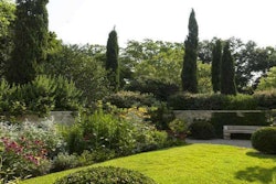 This low walled garden with dense trees and plants behind it feels like a secret retreat. Photo courtesy of Lambert Landscape Co., Dallas, Texas; LoveYourLandscape.org