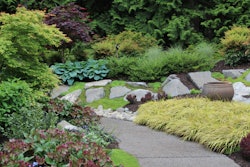 Screen Shot 2018-11-05 at 10.13.42 AM