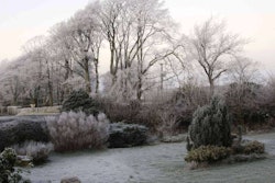 garden-frost-morebyless