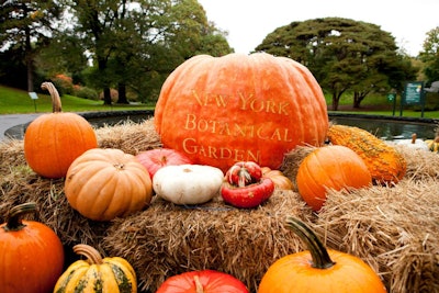 Visitors to the New York Botanical Garden can find these heavy-weight champs in garden until Oct. 30th. Photo: New York Botanical Garden