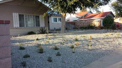 This customer was pleased with Turf Terminators’ work on Yelp. Photo: Dante P./Yelp
