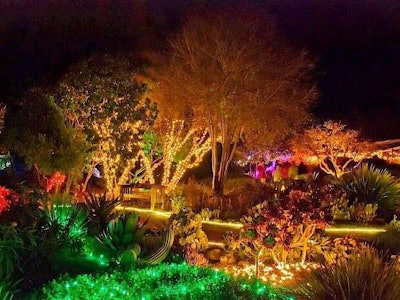 The annual Festival of Lights begins Nov. 25. Photo: Mendocino Coast Botanical Gardens