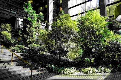 John Mini Distinctive Landscapes received a Decade Award for its work in interior maintenance at the Ford Foundation Building. Photo: John Mini Distinctive Landscapes