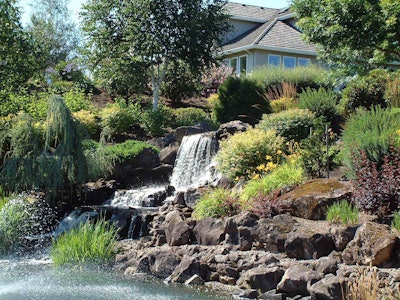 Willamette Landscape Services’ work for the Claremont Greens Homeowners Association bears witness to the Tualatin, Oregon, company’s experience and expertise. The National Association of Landscape Professionals pairs companies with landscape veterans who are willing to share insights they’ve gained from many years on the job. Photo: Willamette Landscape Services