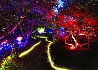 In addition to the lights, each evening features live music, local craft beer and some of Mendocino County’s finest wines.