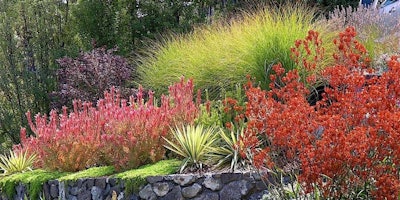 Choose a plant palette that will provide variety and interest throughout all the seasons. Photo: Michelle Derviss Landscape Design