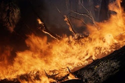 Wildfires continue to spark after high winds and weeks of dry weather create favorable conditions.