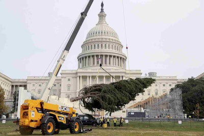 The 2016 U.S. Capitol Christmas Tree arrives to the West Lawn of the U.S. Capitol Building from the Payette National Forest in Idaho. Photo: Associated Press/Andrew Harnik