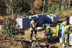 Ruppert Landscape and Habitat for Humanity volunteered to spruce up Reid Park. Photo: Project EverGreen