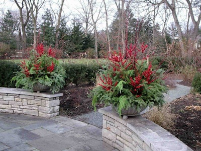 Winter containers can add holiday cheer to any outdoor space. Photo: The Hortiholic