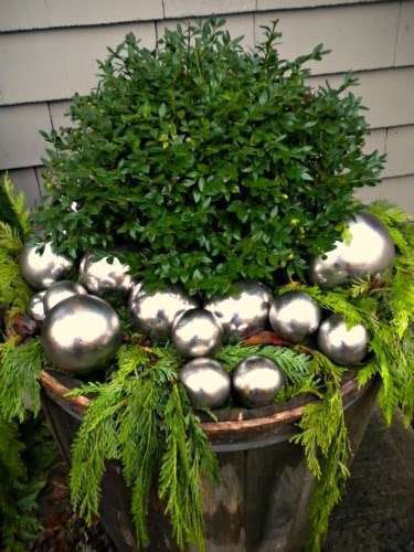 This boxwood provides a different texture while other elements provide the seasonal aspect. Photo: Henhouse.ca