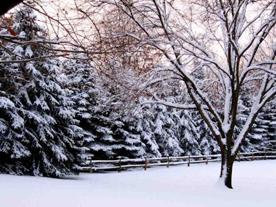 Photo: Rachel Kramer/Flickr