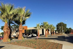 Heaviland replaced the grass and hedges with drought-tolerant plants. Photo: Heaviland Landscape Management