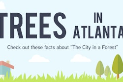 Trees in Atlanta Illustration and Infograph