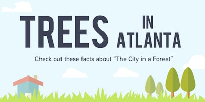 Trees in Atlanta Illustration and Infograph