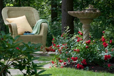 Placing fragrant flowers, like Flower Carpet Scarlet, near a sitting area can help add extra depth to a space. Photo: Anthony Tesselaar Plants