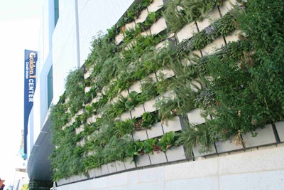 The Golden 1 Center features seven different section of green walls. Photo: LiveWall