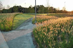 The Wave Garden is one of the new additions to the NCMA Park. Photo: Courtesy of NCMA