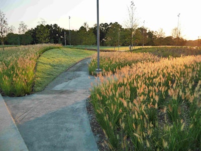 The Wave Garden is one of the new additions to the NCMA Park. Photo: Courtesy of NCMA