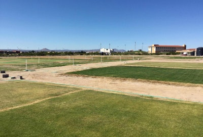 The NMSU Turfgrass Salinity Research Center is home to several types of turfgrass plots. Photo: NMSU photo by Kristie Garcia