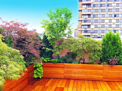 Here is one of Freda’s recent healing garden she designed and installed for a yoga. Photo: Amber Freda