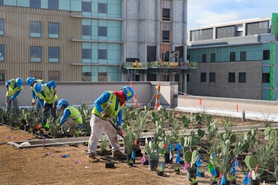 The roof of Dell Medical School at the University of Texas at Austin now features 7,000 plants. Photo: BrightView