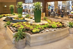 Bringing nature indoors comes with a number of benefits. Photo: Pinnacle V