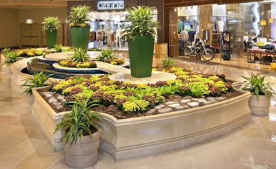 Bringing nature indoors comes with a number of benefits. Photo: Pinnacle V