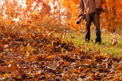 Man Blowing Leaves During the Fall