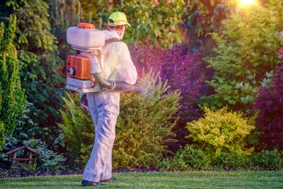Man Spraying Pesticides on Plants for Landscaping Purposes