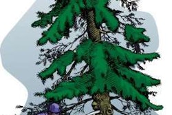 pruning-international-society-of-arboculture
