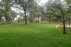 Bladerunner Farms produces grasses for lawns as well as golf courses and sports fields. Photo: Bladerunner Farms