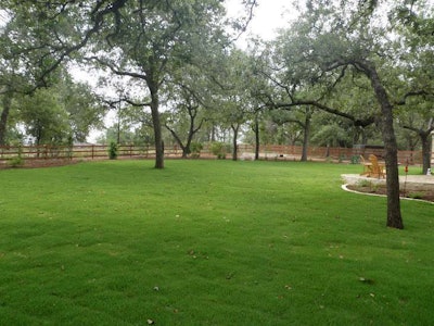 Bladerunner Farms produces grasses for lawns as well as golf courses and sports fields. Photo: Bladerunner Farms