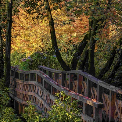 This photo won first place for the Beautiful Gardens category. Image by Nigel McCall. Go to...