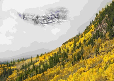 This picture placed first in the Breathing Spaces section, which is sponsored by The National...