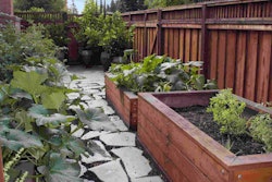 Redwood-planter-humboldt