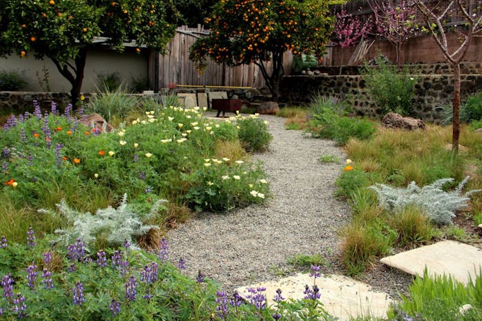 Naturalistic Style Garden, Landscape Design Ideas Zone 5