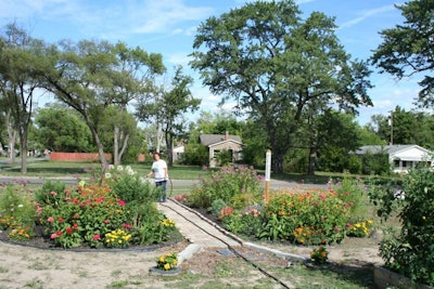 In Memory Of Community Garden grows produce for local food banks and pantries and also serves as habitat for bees, butterflies and hummingbirds. Photo: Project EverGreen